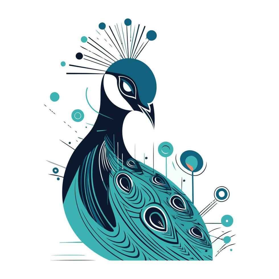 Peacock. Vector illustration on a white background. Isolated.