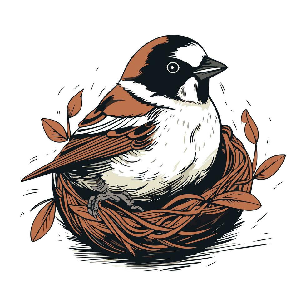 Sparrow sitting in the nest. Hand drawn vector illustration.