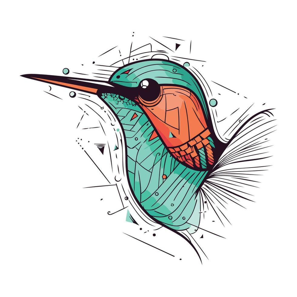 vistoso colibrí en blanco antecedentes. mano dibujado vector ilustración.