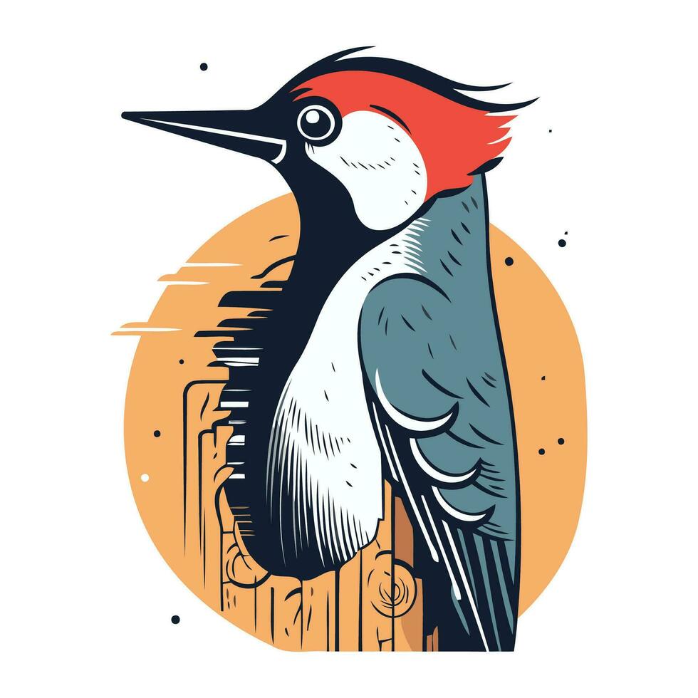 Dendrocopos major. Woodpecker vector illustration.