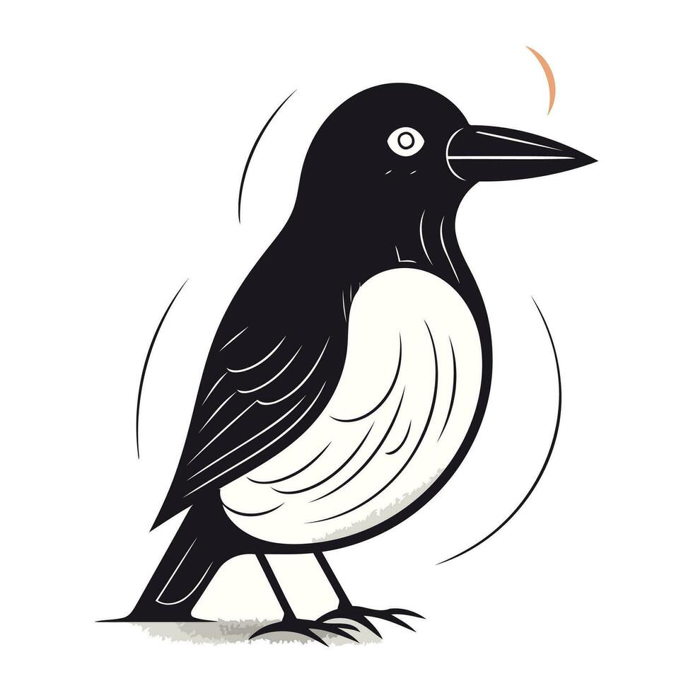 Crow on a white background. Vector illustration of a crow.