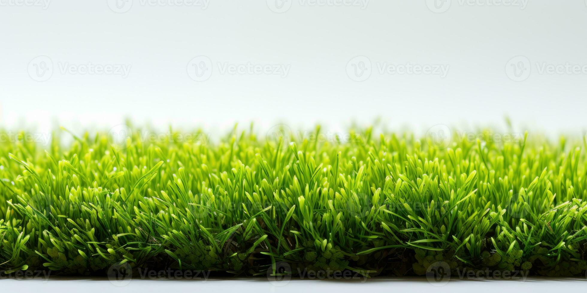 Isolated grass carpet on white with space for text, AI Generative photo