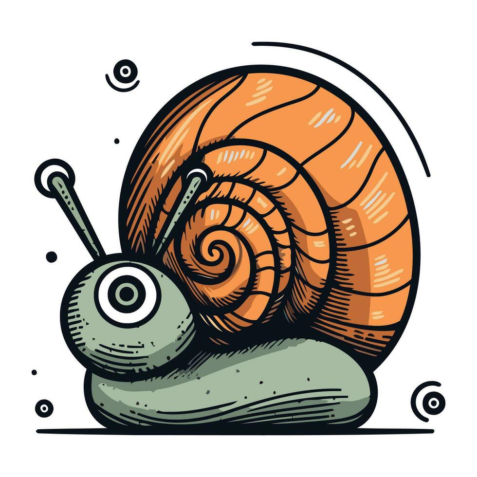 Snail. Hand drawn vector illustration. Isolated on white background.