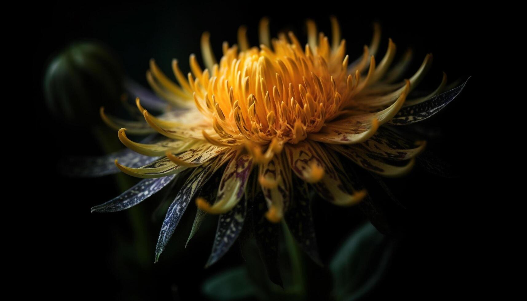 vibrante colores de un soltero flor en un negro antecedentes generado por ai foto