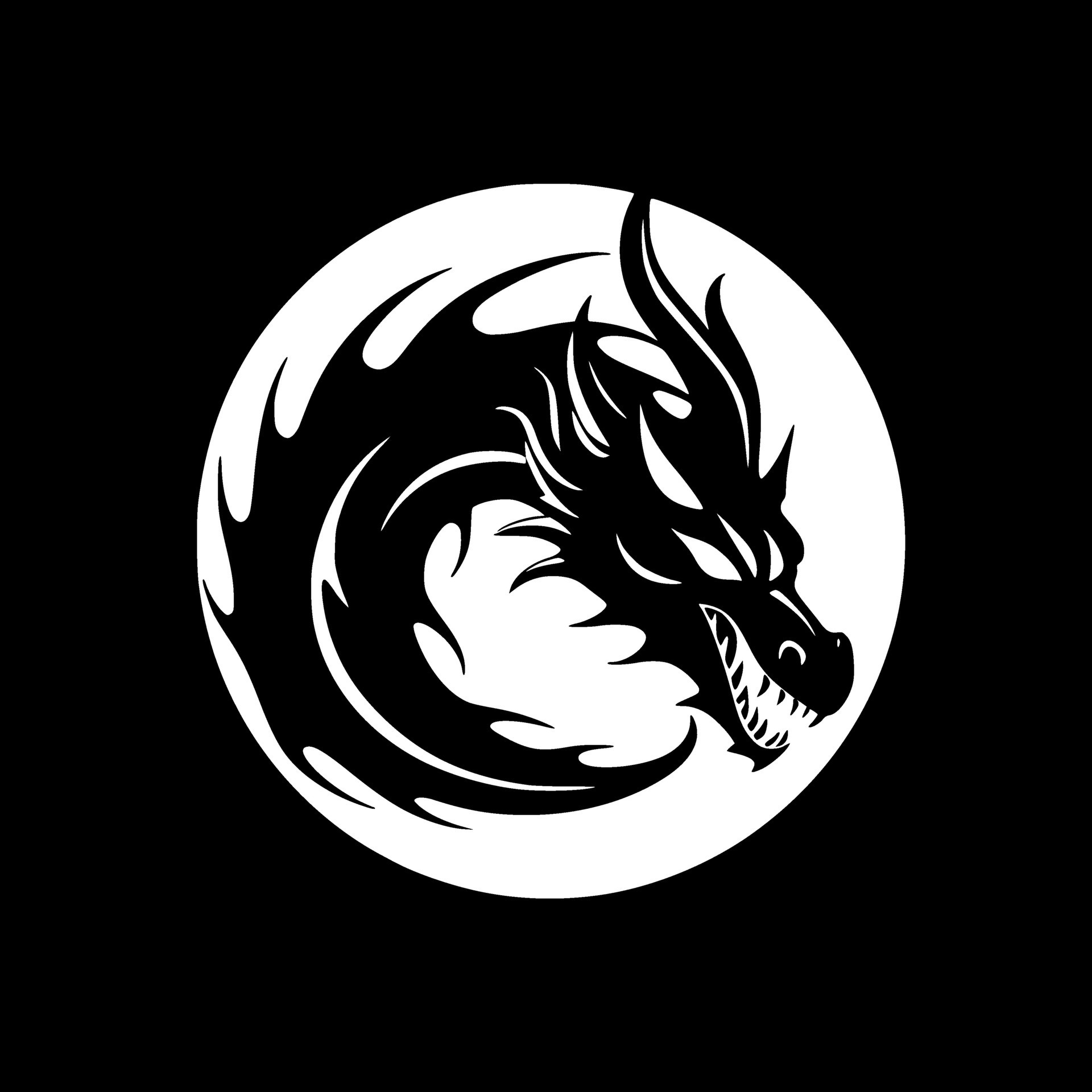Dragon, Black and White Vector illustration 33483741 Vector Art at Vecteezy