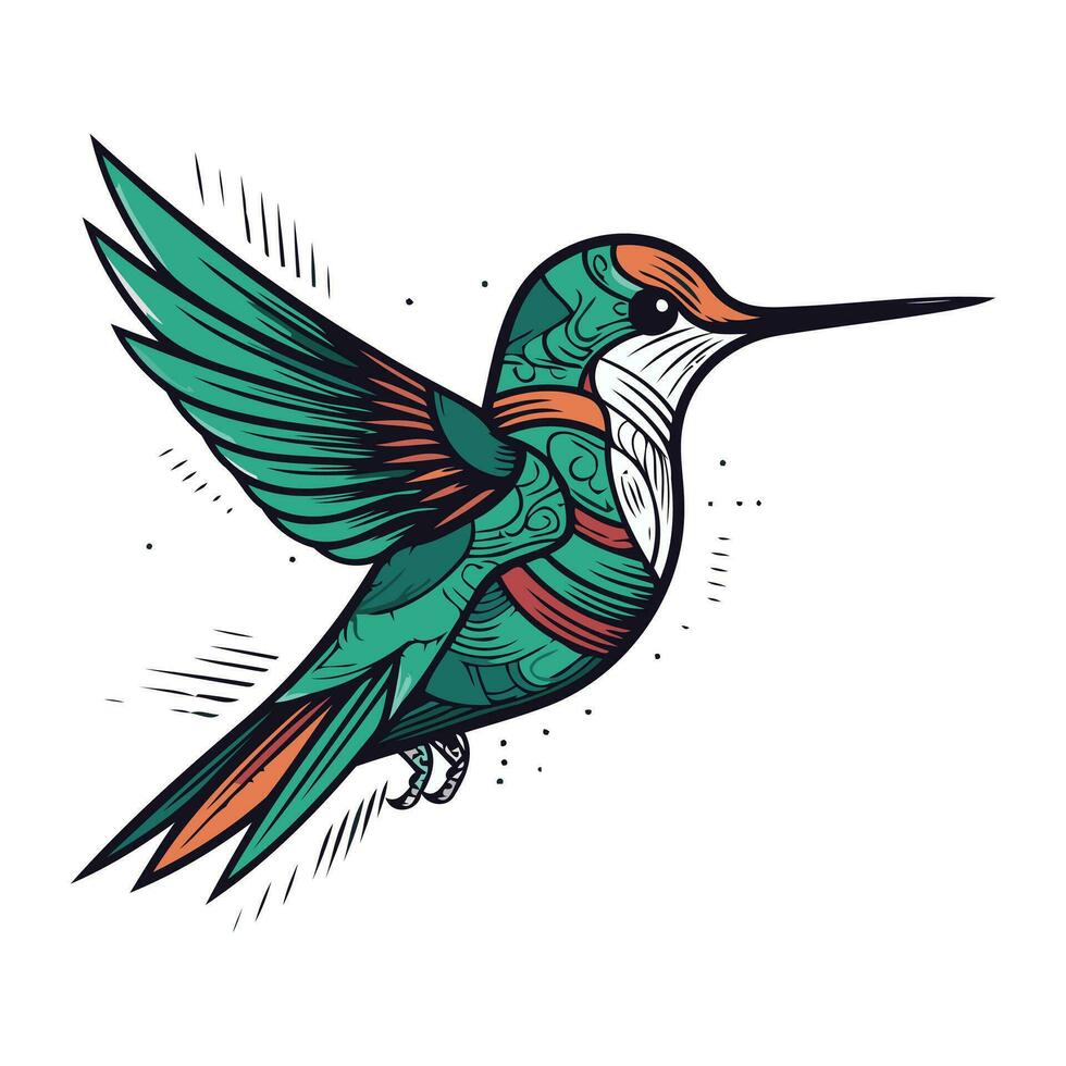 colibrí mano dibujado vector ilustración. aislado en blanco antecedentes.