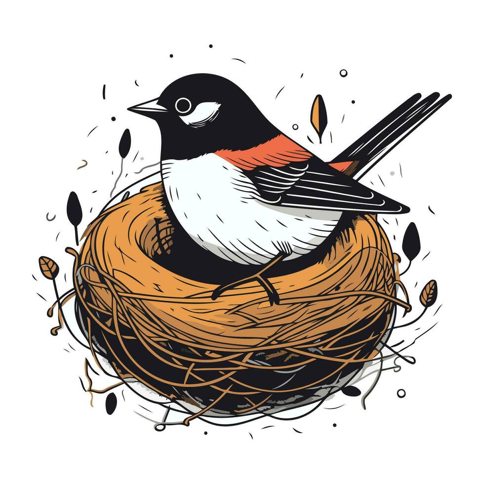 Bullfinch in nest. Hand drawn vector illustration on white background.