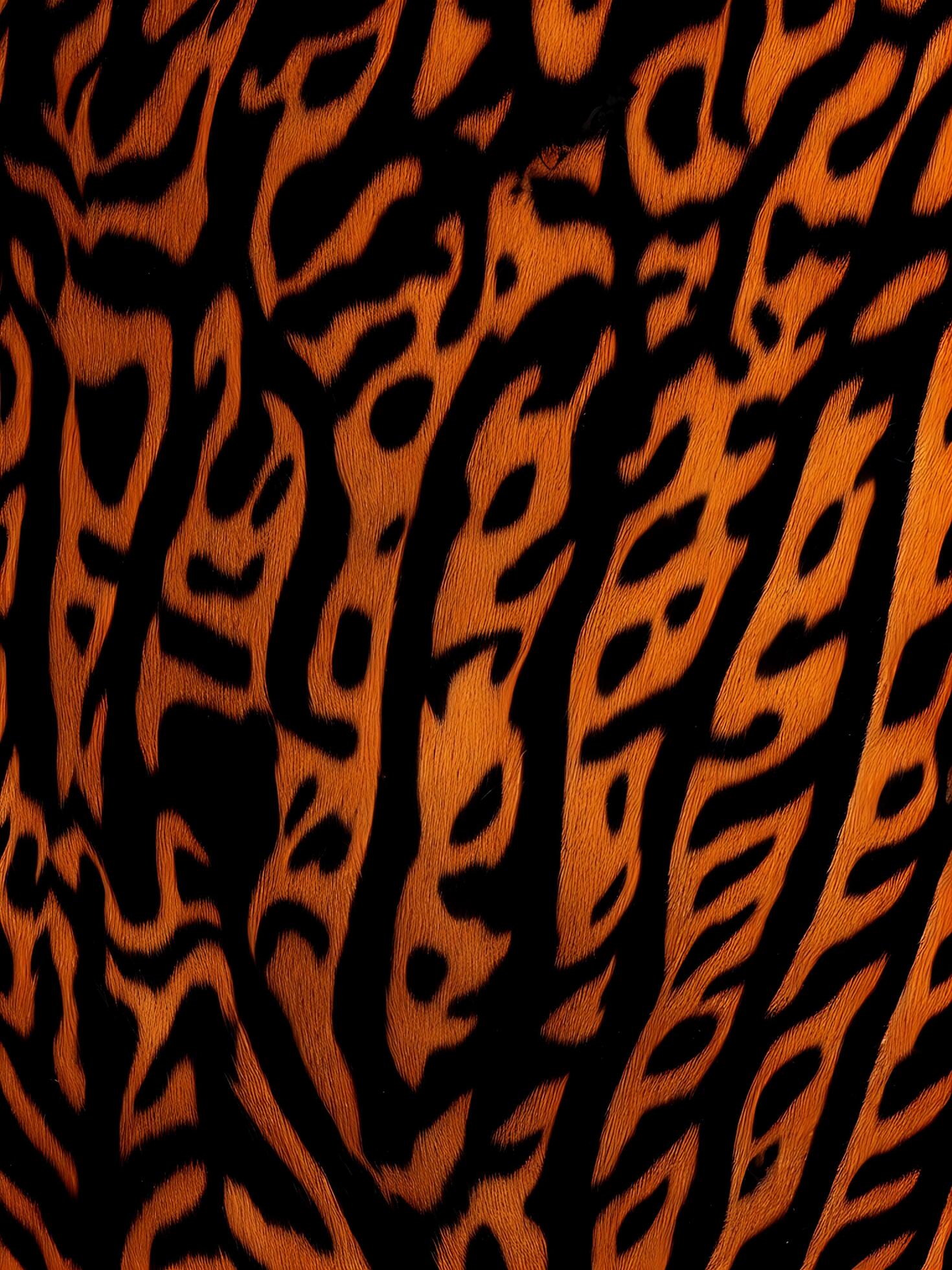 A tiger print background . ai generated 33484605 Stock Photo at Vecteezy