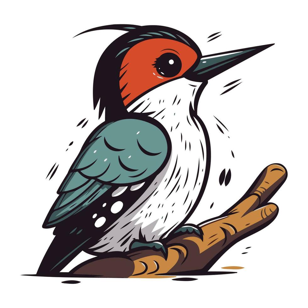 Cute woodpecker bird sitting on a branch. Vector illustration.