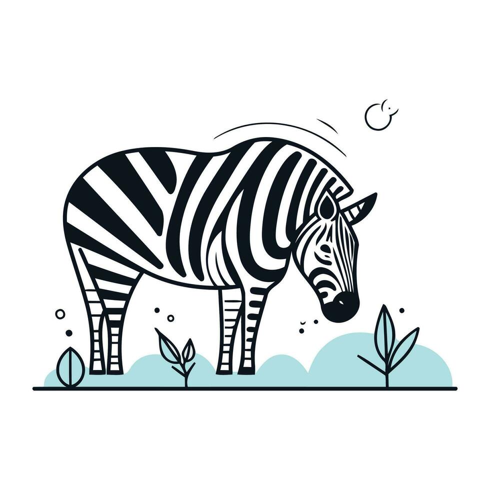 Zebra. Vector illustration in flat linear style on white background.