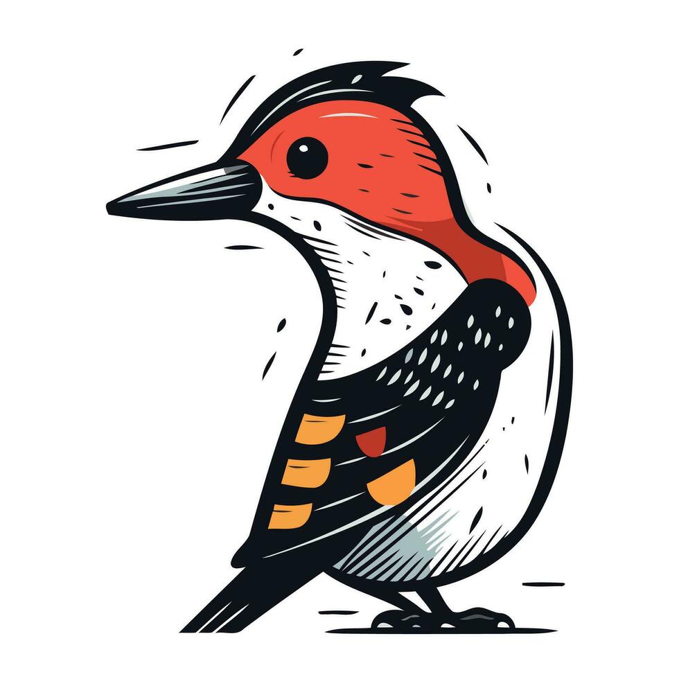 Red bellied woodpecker. Hand drawn vector illustration.
