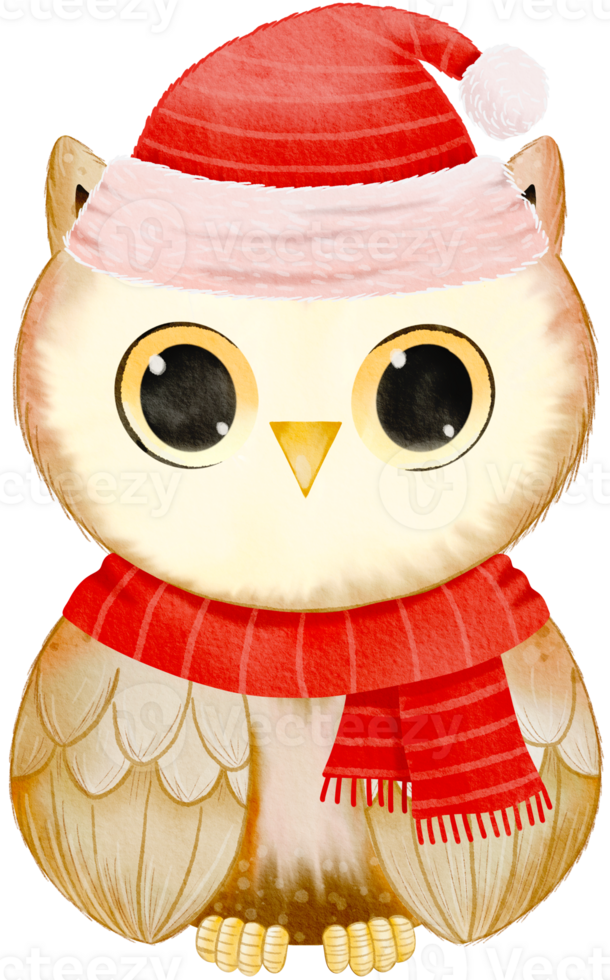 joyeux Noël avec aquarelle mignonne hibou portant Père Noël chapeau png