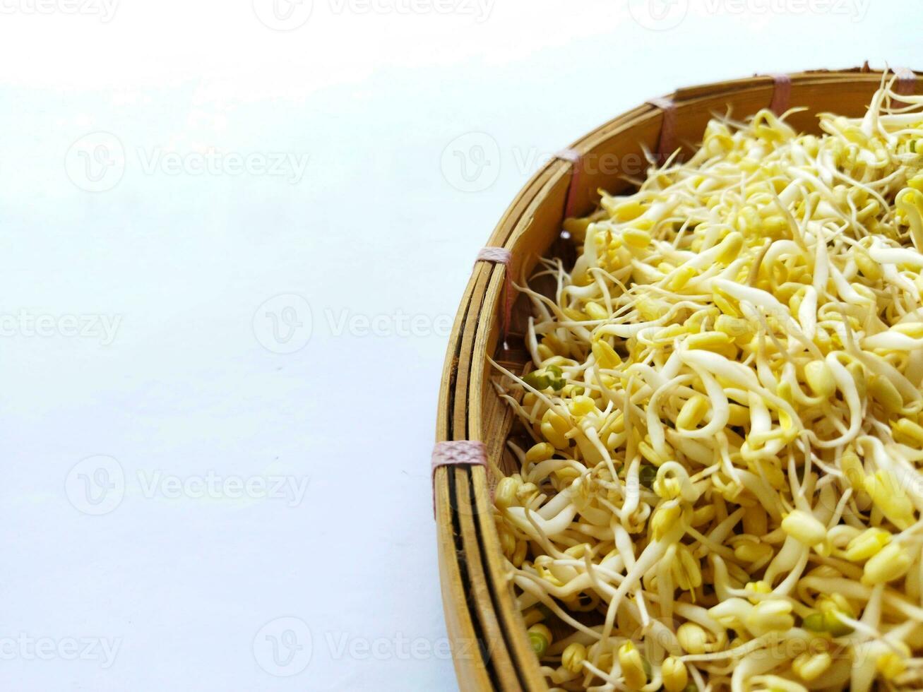 Creative layout made of soya bean sprouts on the white background. photo