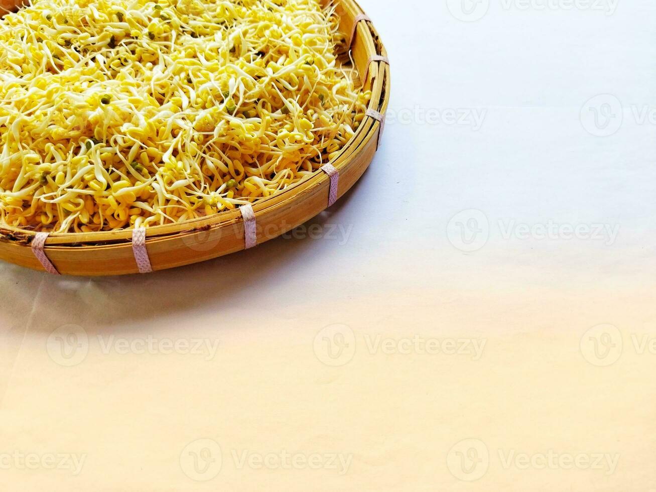 Creative layout made of soya bean sprouts on the white background. photo