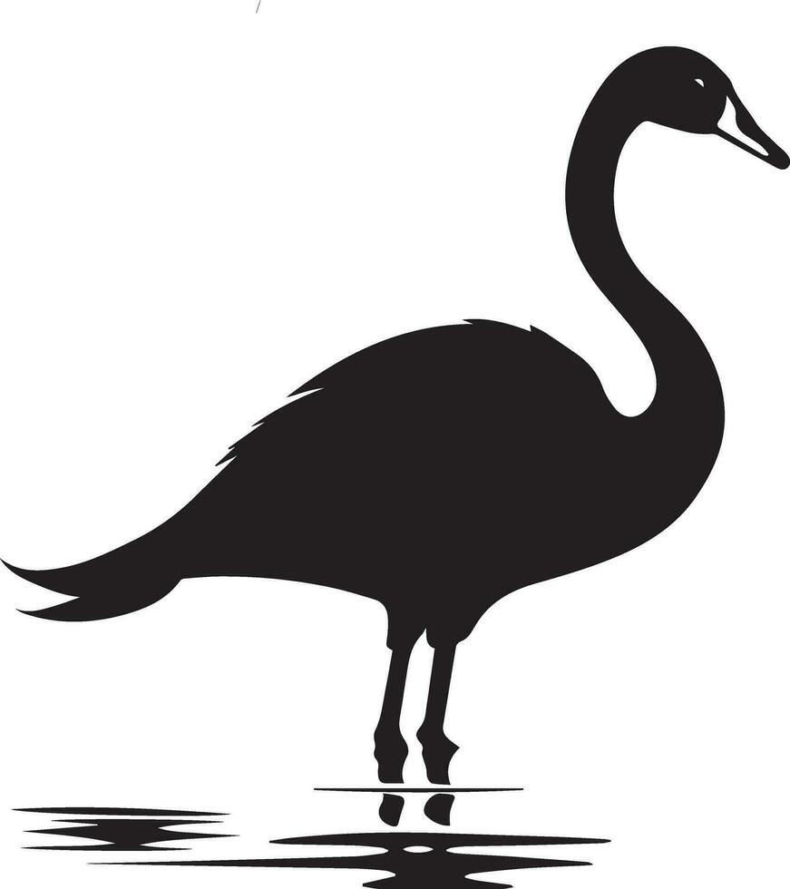Swan vector silhouette illustration black color