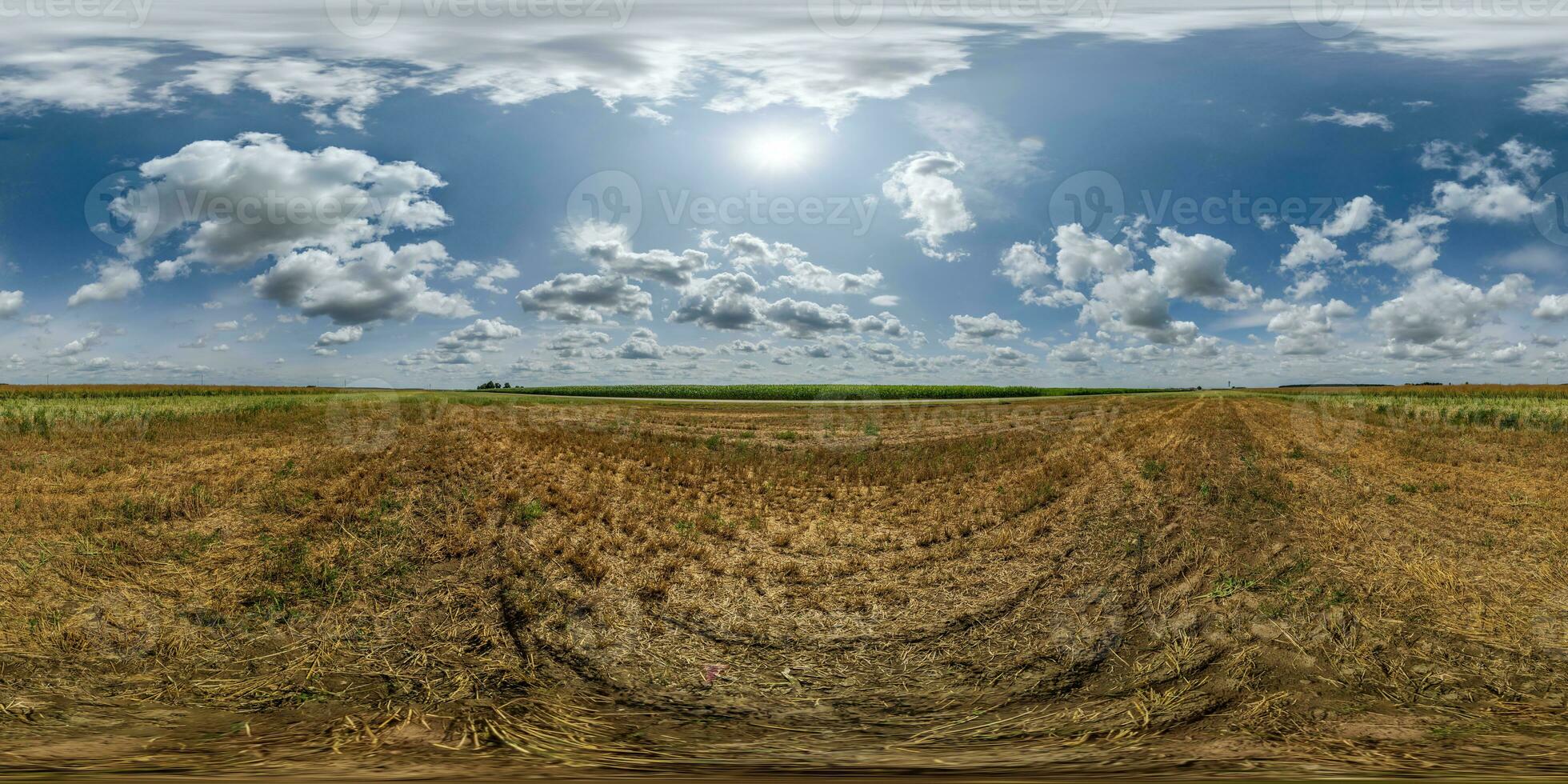 spherical 360 hdri panorama among green grass farming field with storm clouds on blue sky in equirectangular seamless projection, use as sky dome replacement, game development as skybox or VR content photo