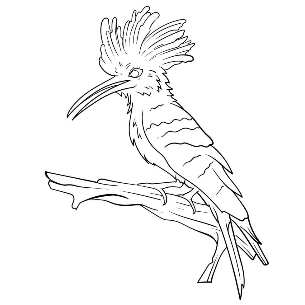 The yellow cardinal rare bird on a tree branch in a tropical jungle, black and white outline vector cartoon illustration for a coloring book page.