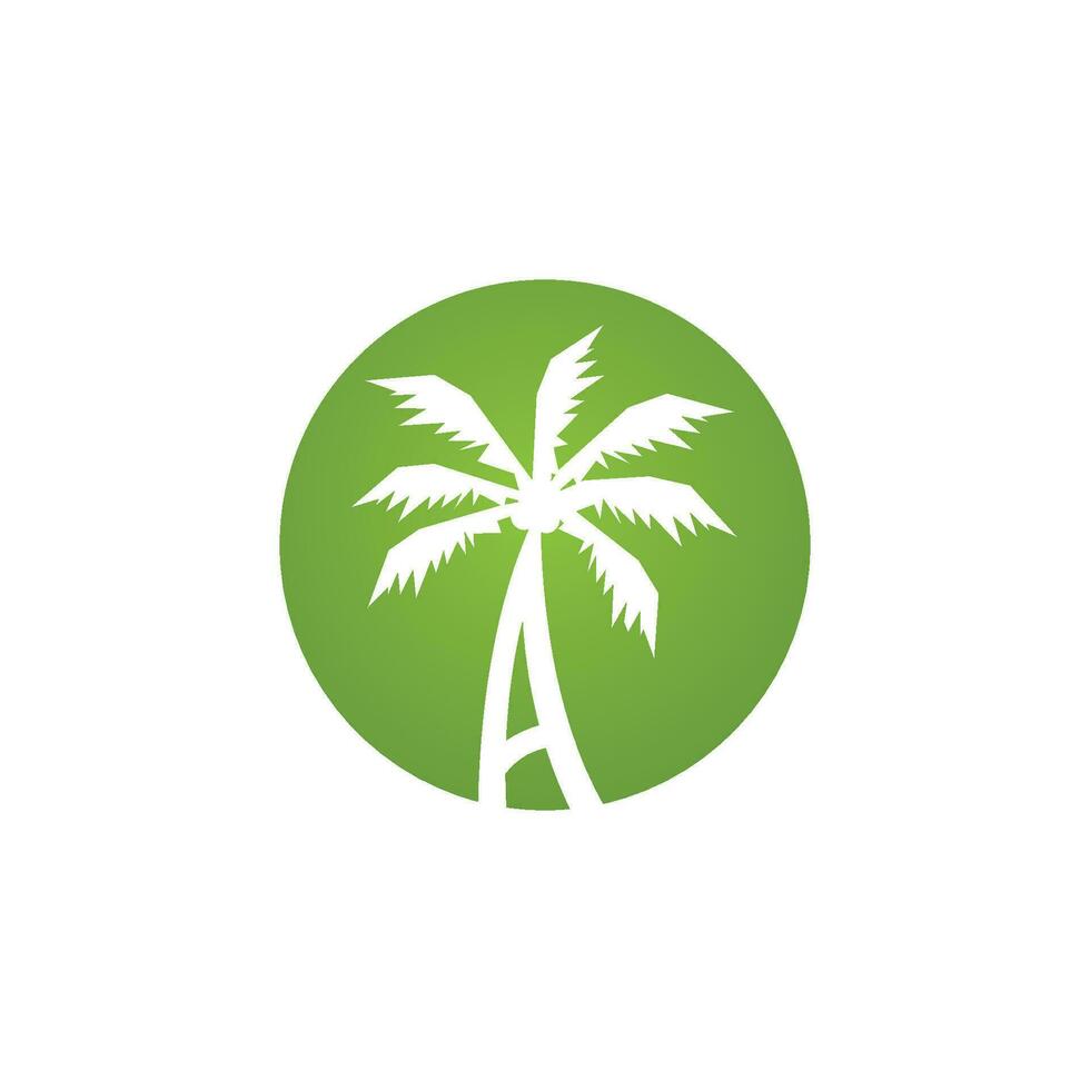 plantilla de logotipo de verano de palmera vector