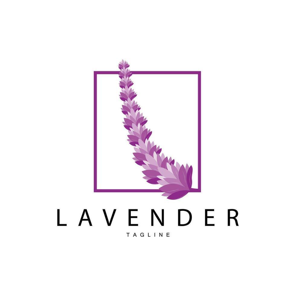 Lavender Logo, Hand Drawn Wedding Plant Design, Vector Lavender Plant Perfume Illustration Design