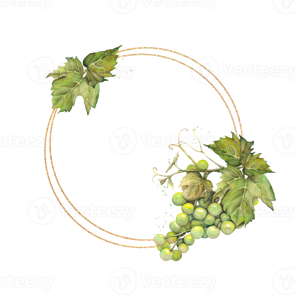 volta dourado quadro, Armação com uma grupo do verde uvas desenhado à mão dentro aquarela. png