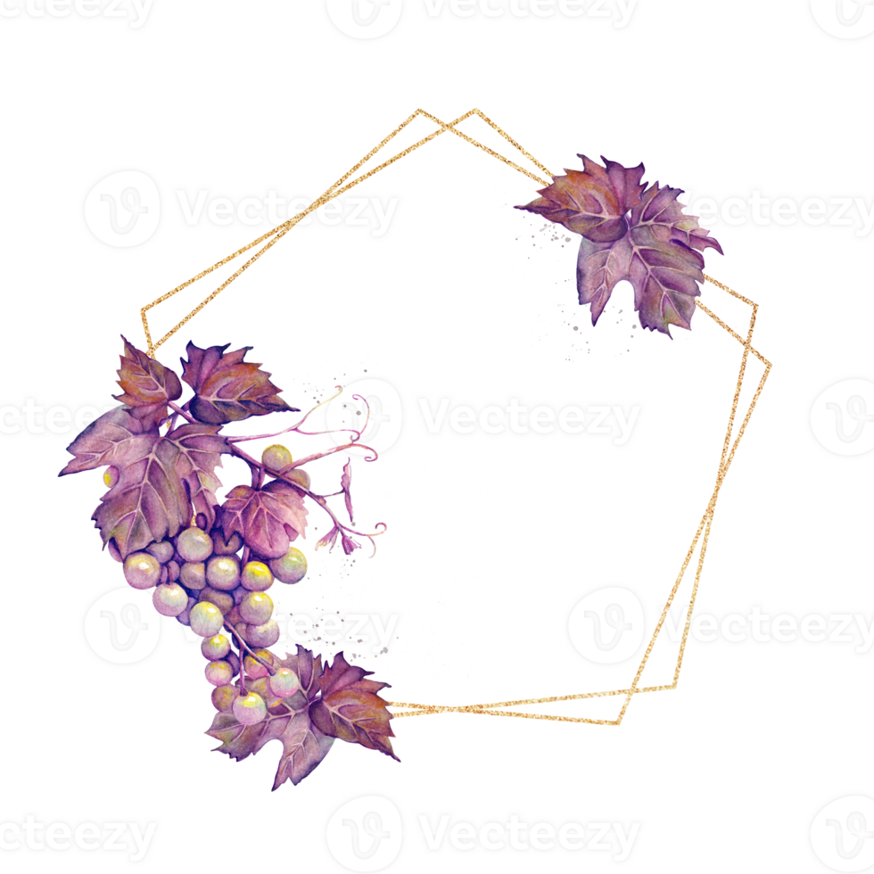 dourado quadro, Armação com uma grupo do roxa uvas desenhado dentro aquarela. png