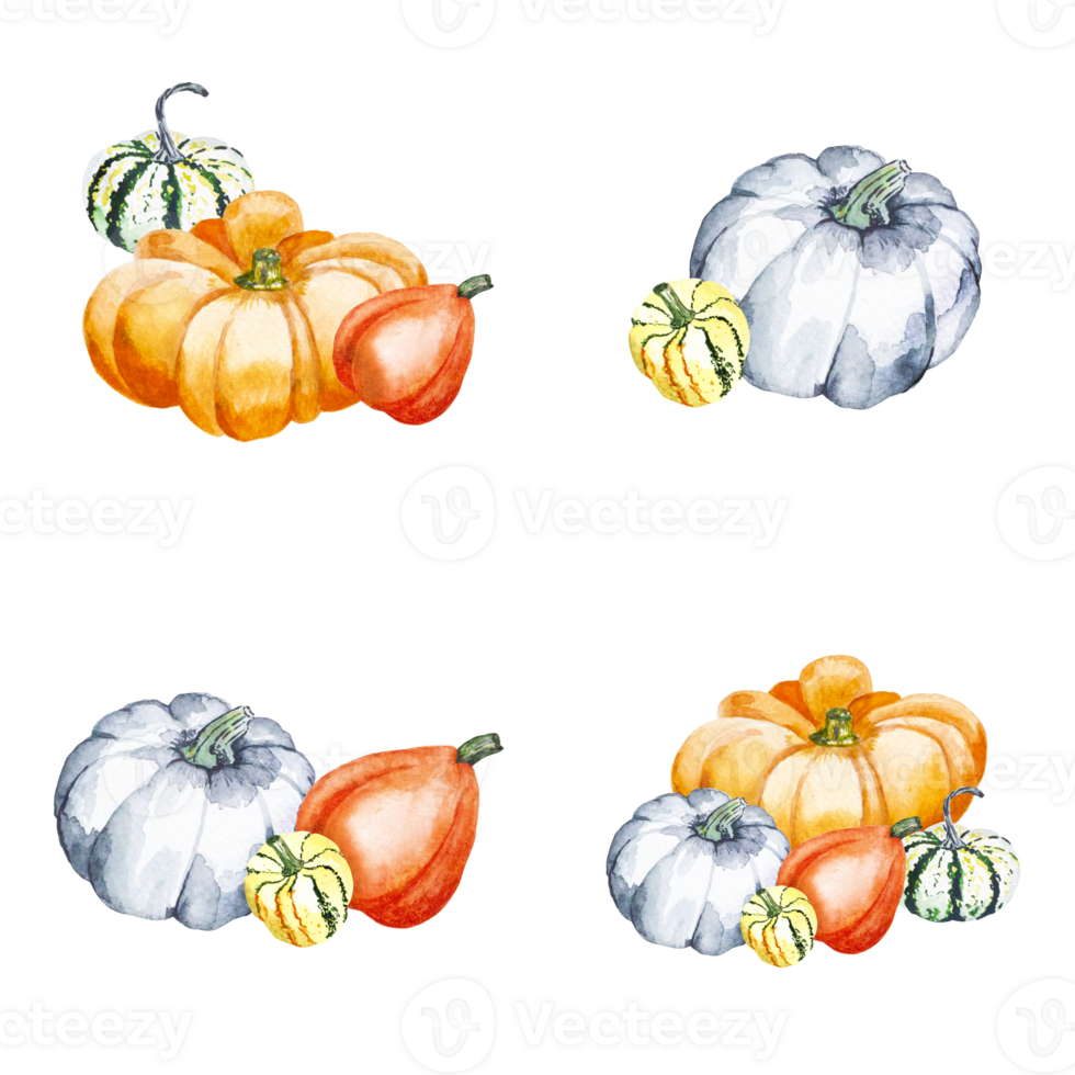 vegetales. calabaza composición. acuarela ilustración de brillante calabazas en un transparente antecedentes. ilustración con vegetales para tu diseño png