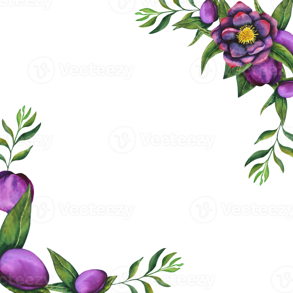 nieskruid zwart. kader gemaakt van waterverf elementen Aan een transparant achtergrond. hand- getrokken bloemen, bloemknoppen en bladeren. waterverf botanisch werk voor kaarten, uitnodigingen, textiel en papier producten png