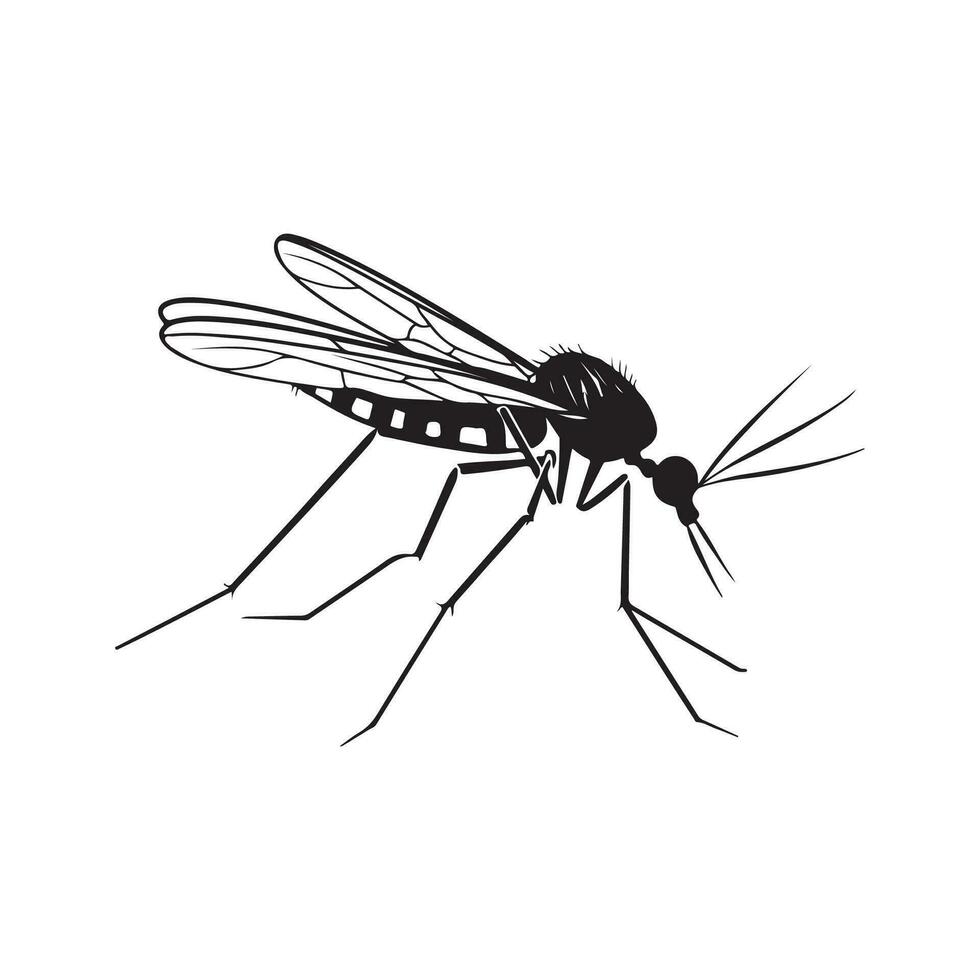 mosquito imagen vector, icono, logo vector