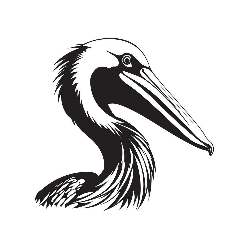 Pelican Vector Image, Art and Design