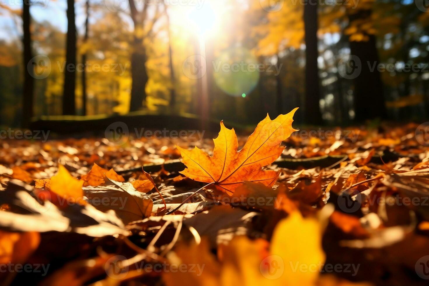 fallen leaves in autumn forest at sunny weather. generative ai. photo
