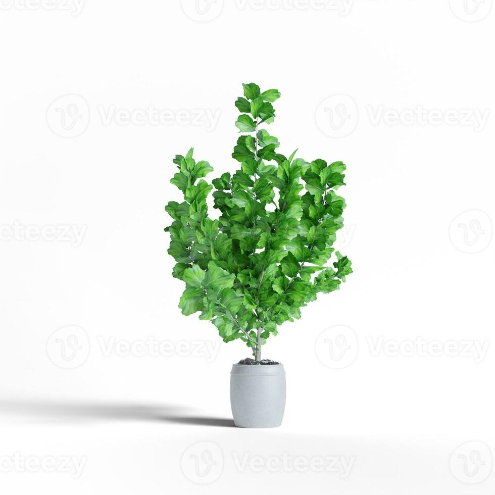 Realistic plants and flower white clean background photo