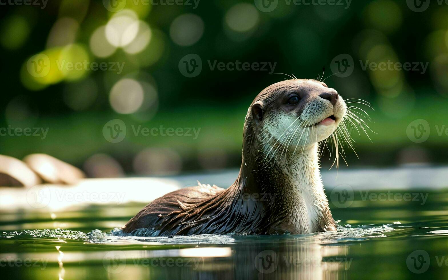 Playful Otter Diving and Splashing in the Crystal-Clear Lake ai generated photo