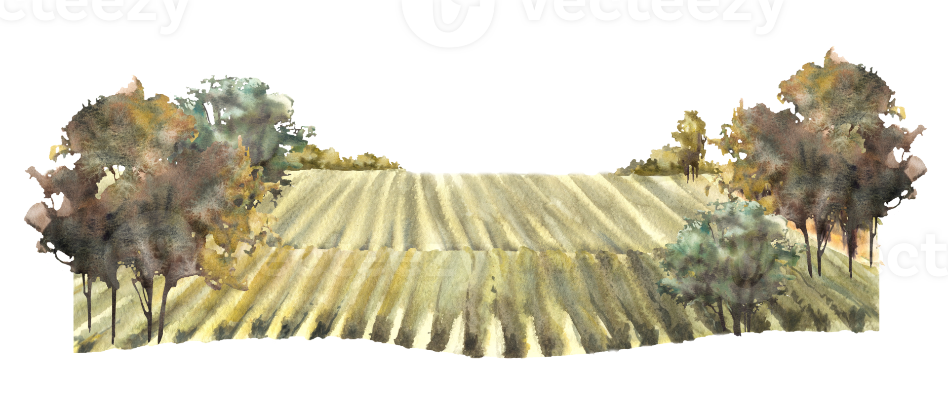 Rural landscape with grape fields, vineyards, bushes, trees, grape