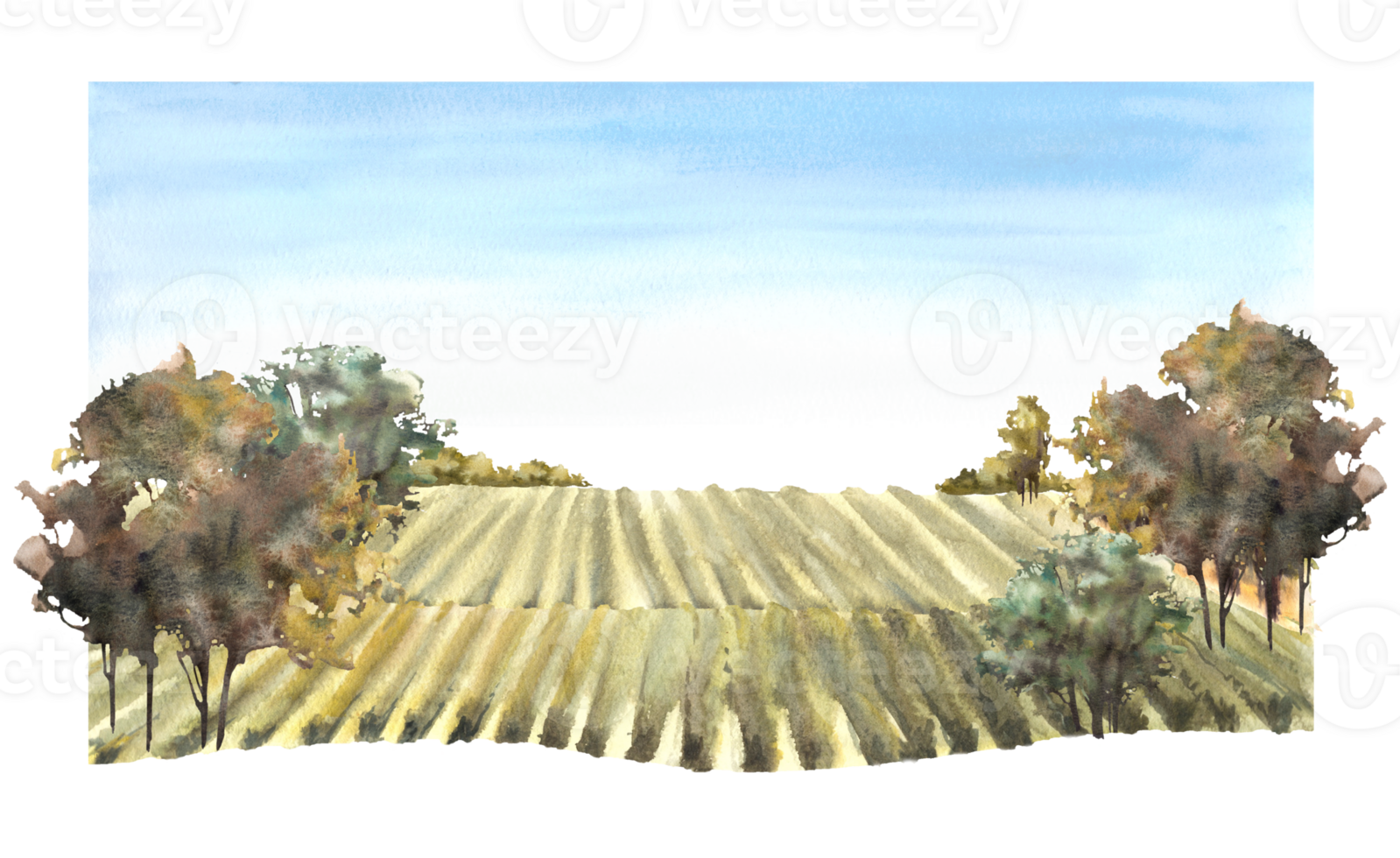 rurale paesaggio con uva campi, vigne, cespugli, alberi, uva pianta e blu cielo. vinificazione azienda agricola campo mano disegnare acquerello illustrazione. manifesto, etichetta stampa png