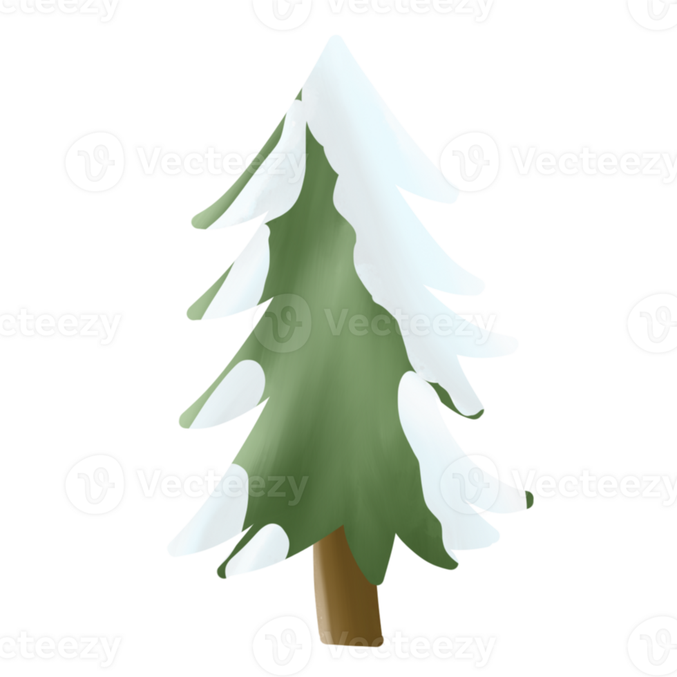 Cut out pine tree png