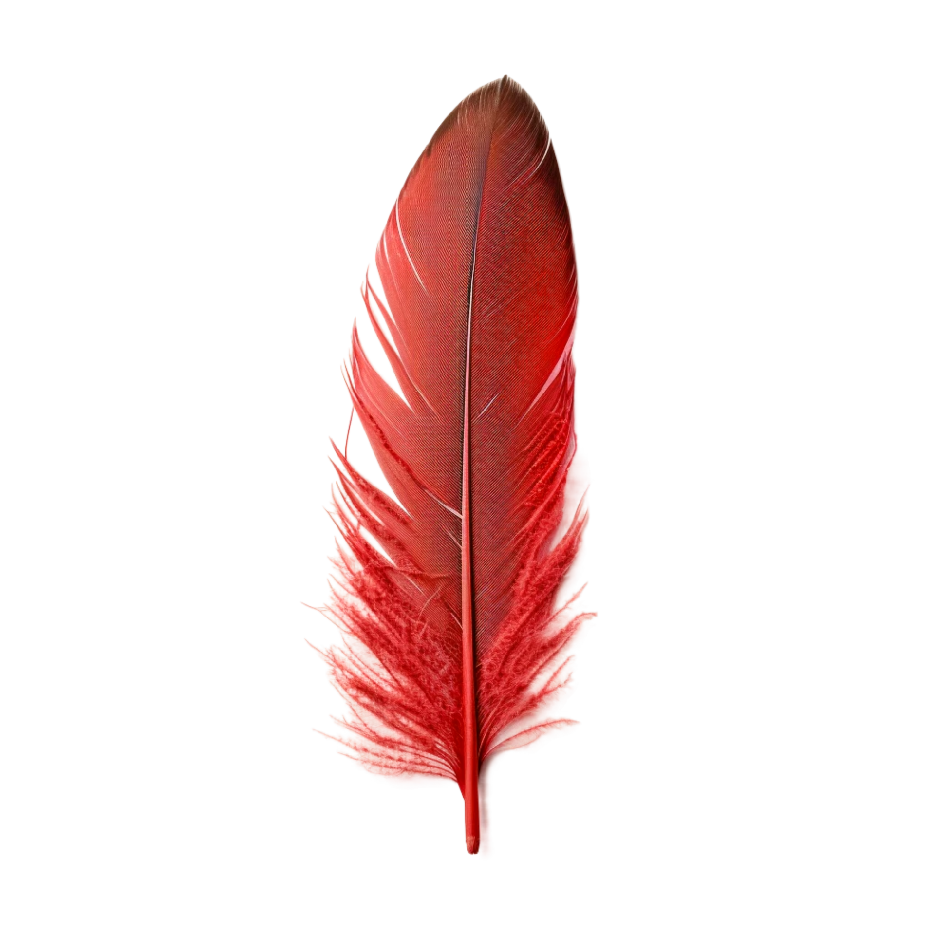 Red feather Generative Ai 33495394 PNG