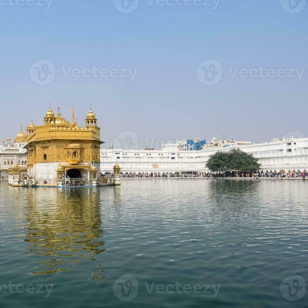 Beautiful view of Golden Temple - Harmandir Sahib in Amritsar, Punjab, India, Famous indian sikh landmark, Golden Temple, the main sanctuary of Sikhs in Amritsar, India photo