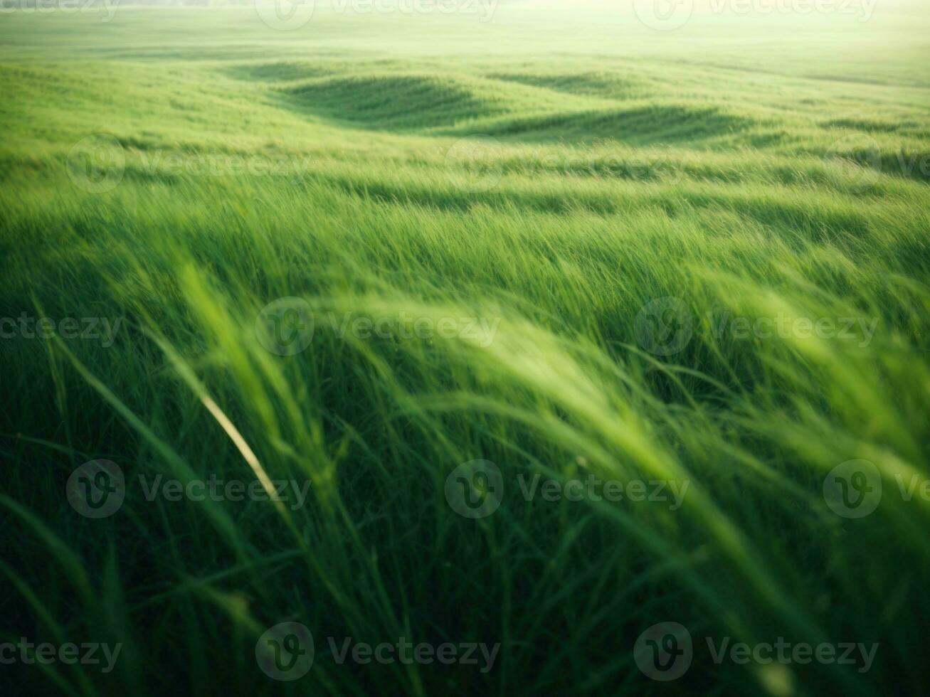 green grass field in morning nature background. AI Generative photo