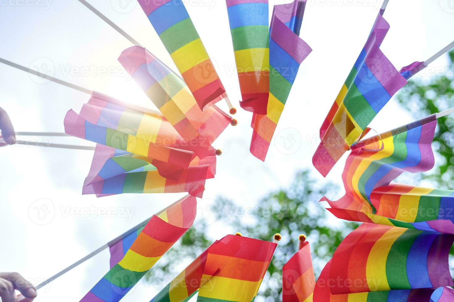 bottom view of lgbtq people gathering holding colorful rainbow flags in the park,concept of lgbt happy pride month,lgbtq community equality movement photo