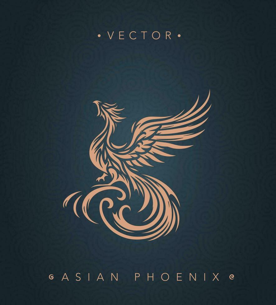 Asian traditional phoenix pattern Chinese phoenix vector