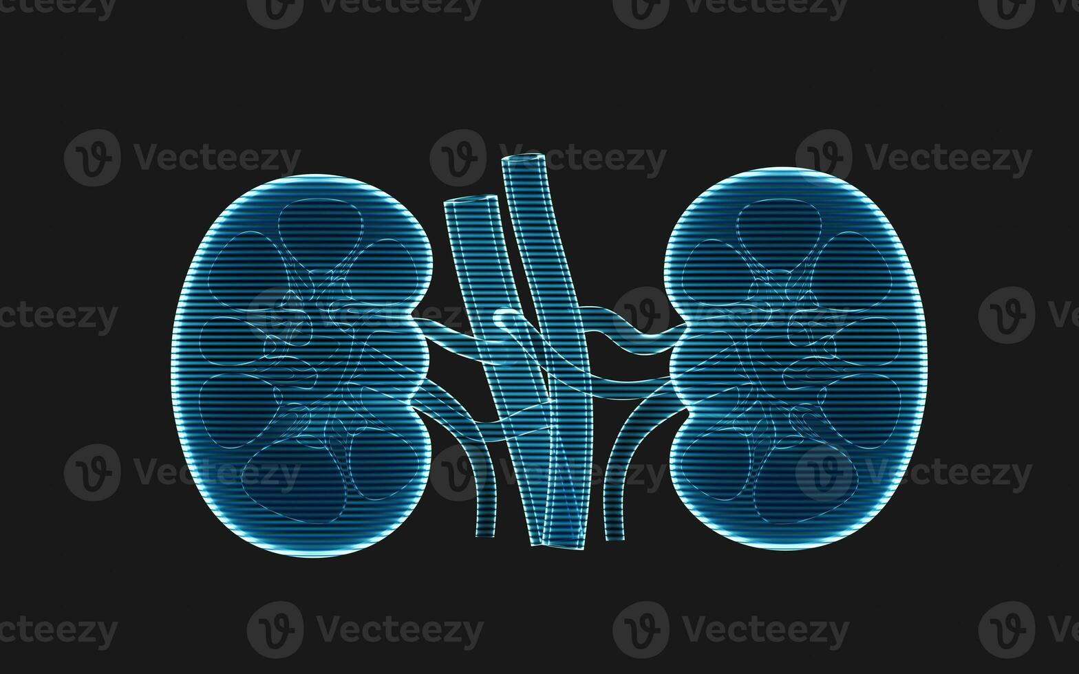 Kidney with holographic image effect, 3d rendering. photo