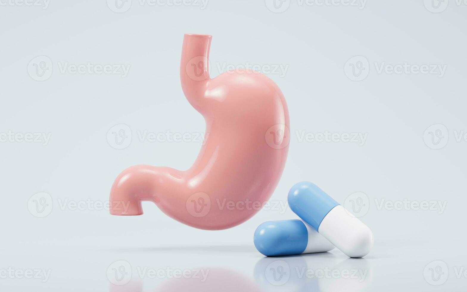 Human stomach and medicine capsules, 3d rendering. photo