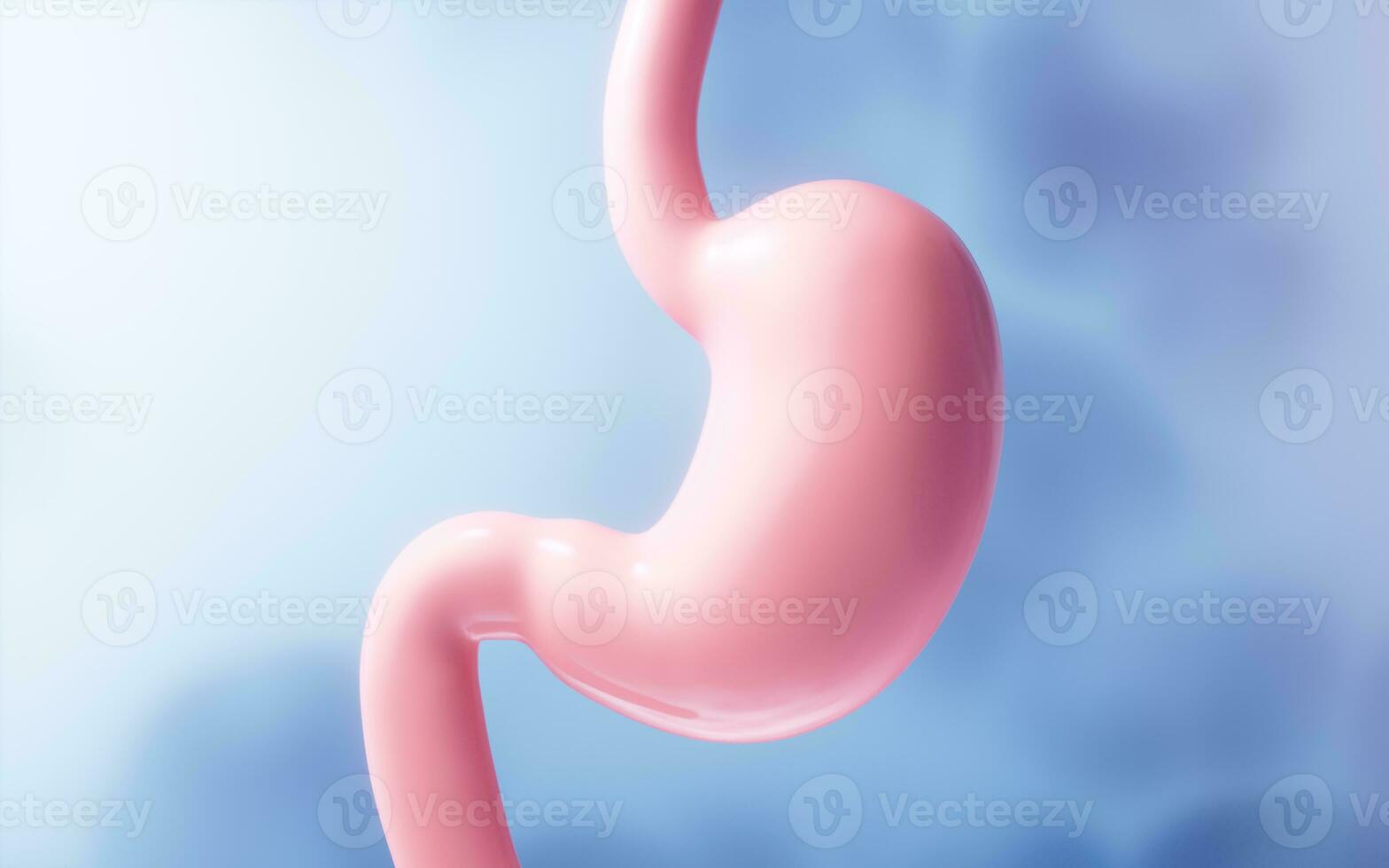 Human stomach with blue background, 3d rendering. photo