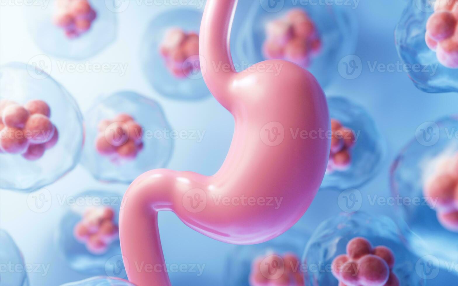 Human stomach and cell background, 3d rendering. photo