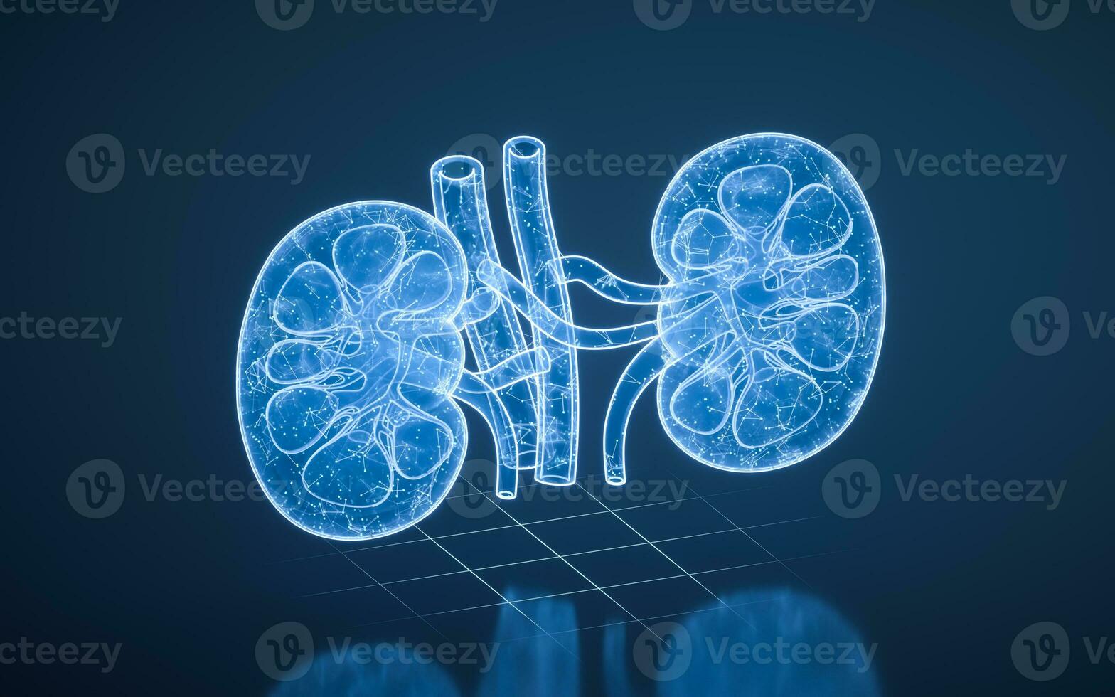 Kidney with blue technology structure, 3d rendering. photo