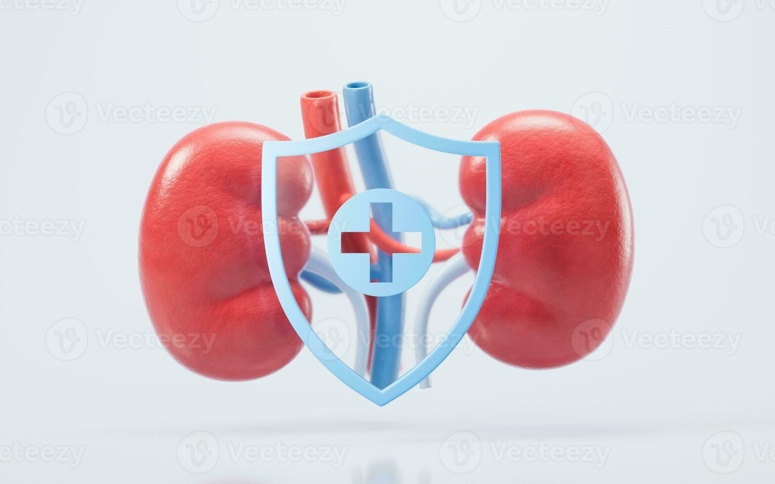 riñón con biología y salud cuidado concepto, 3d representación. foto