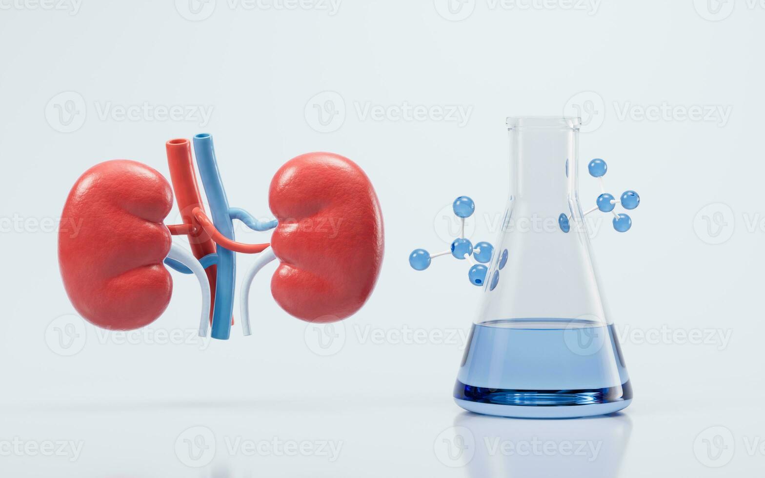 riñón con biología y salud cuidado concepto, 3d representación. foto