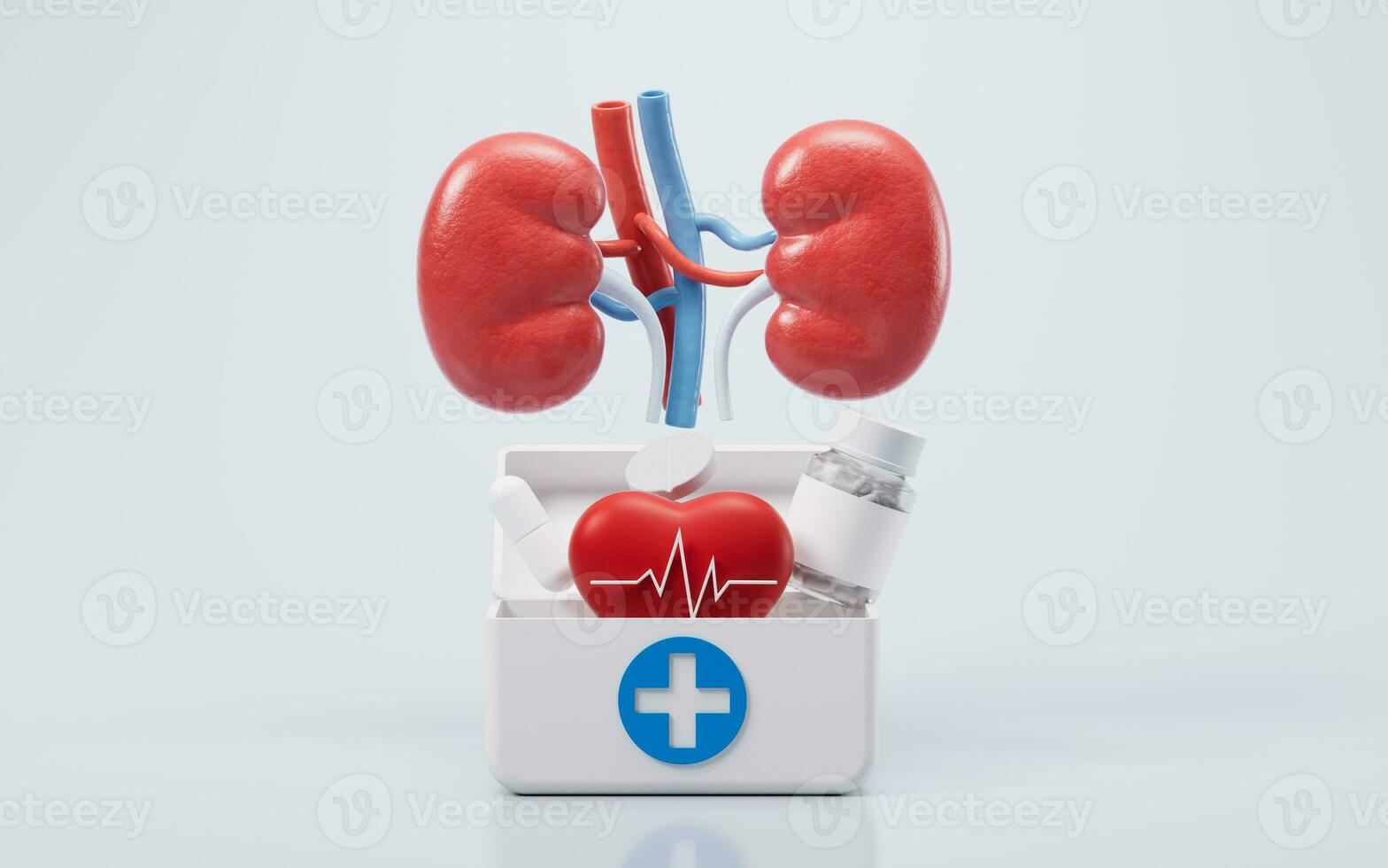 riñón con biología y salud cuidado concepto, 3d representación. foto