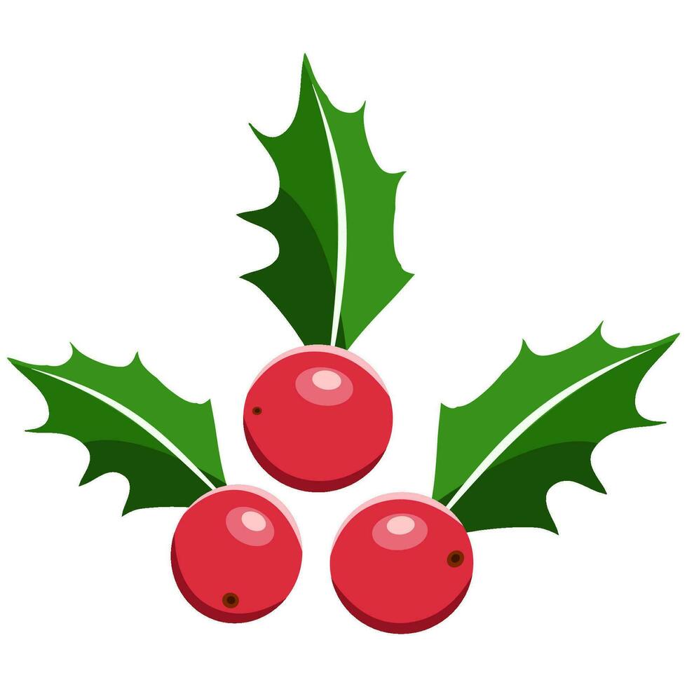 acebo baya Navidad símbolo vector ilustración