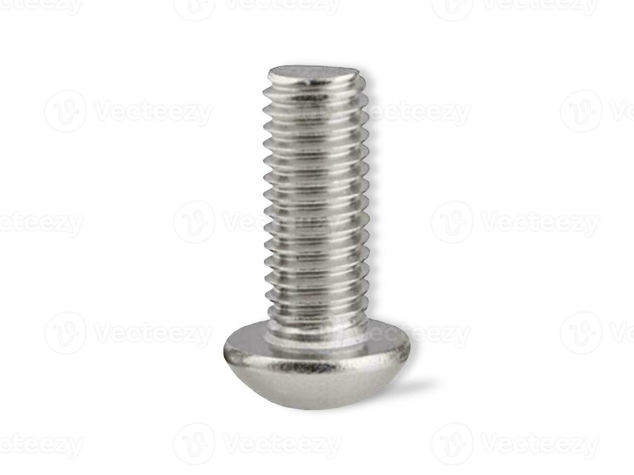 Stainless Button Head Single Screw isolated on white background photo